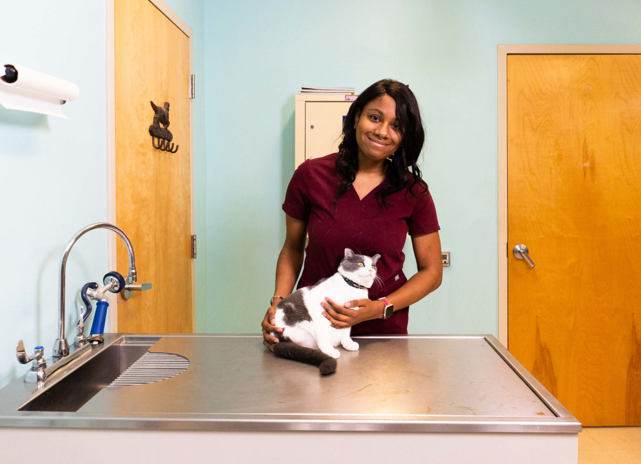 Hudson Veterinary Hospital Facility Photos Vet in Sumter, NC 29150