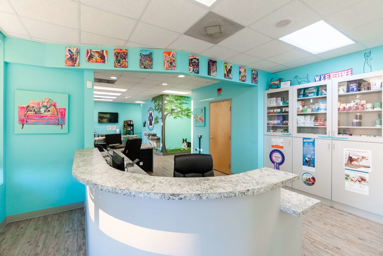 Hudson Veterinary Hospital Facility Photos Vet in Sumter, NC 29150