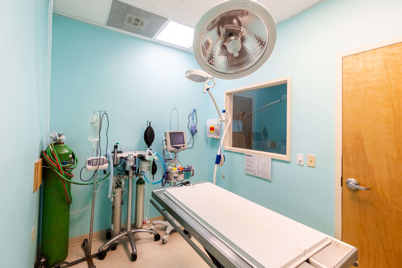 Hudson Veterinary Hospital Facility Photos Vet in Sumter, NC 29150