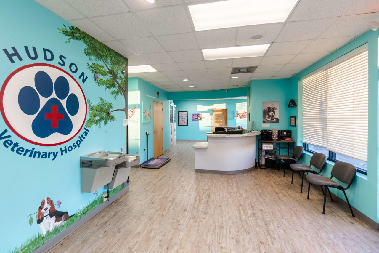 Hudson Veterinary Hospital Facility Photos Vet in Sumter, NC 29150