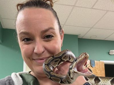 A vet staff holding a snake