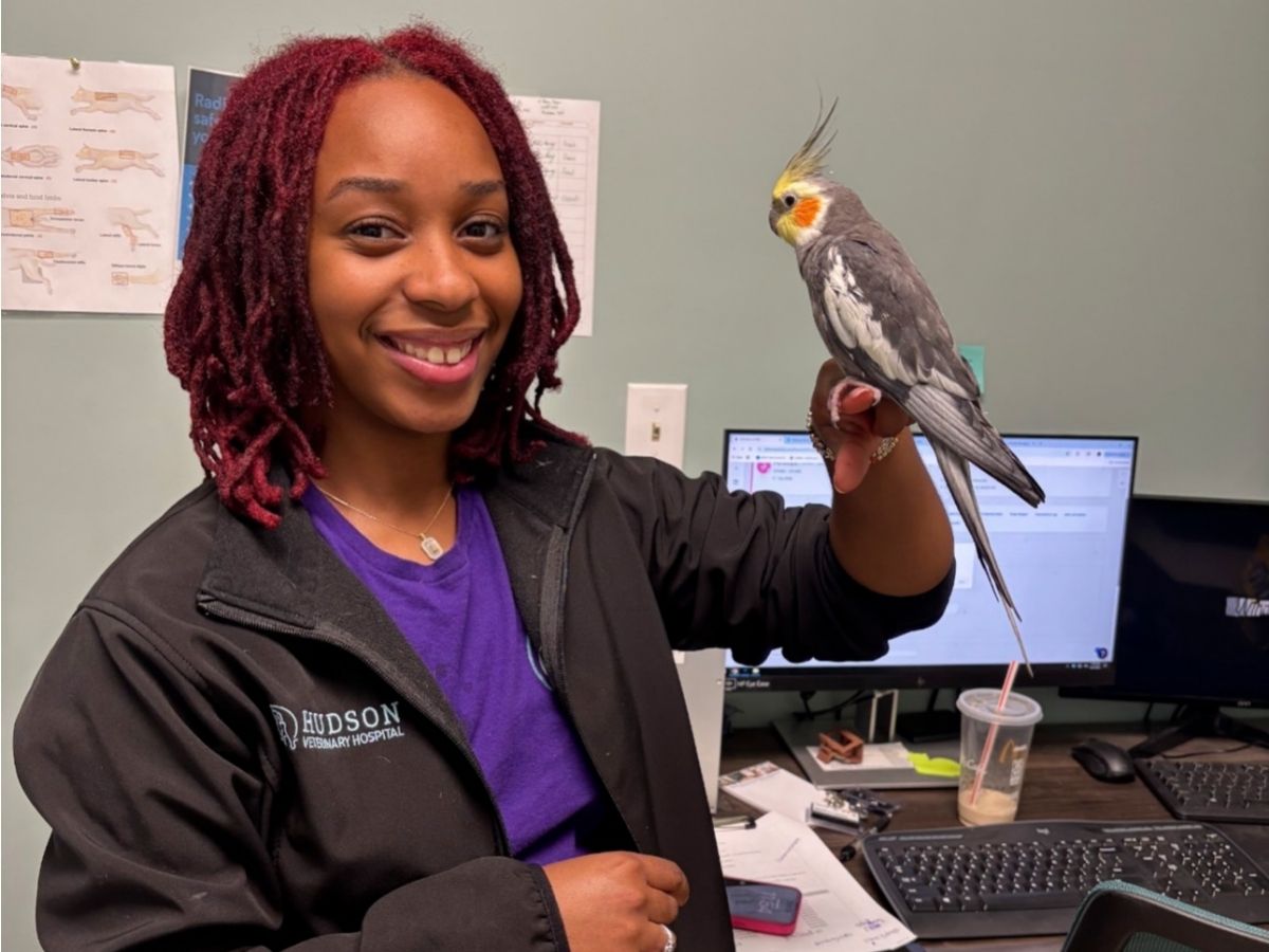 Hudson Services Avian vet staff holding a bird