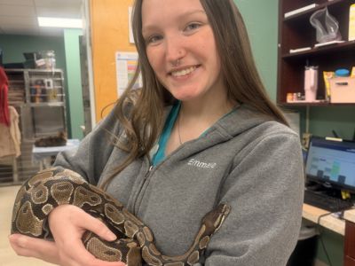 vet staff holding a snake