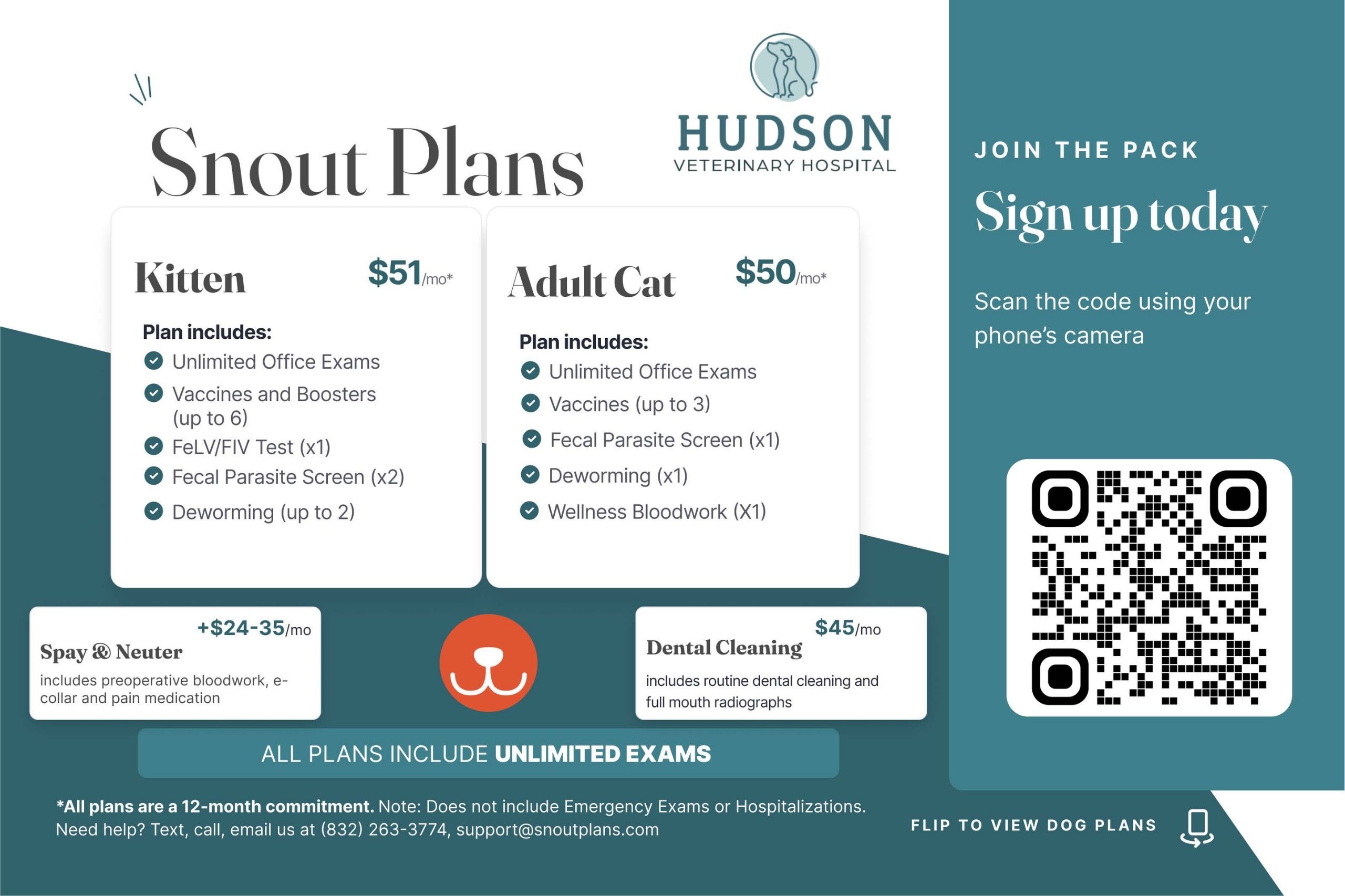 Hudson cat plans