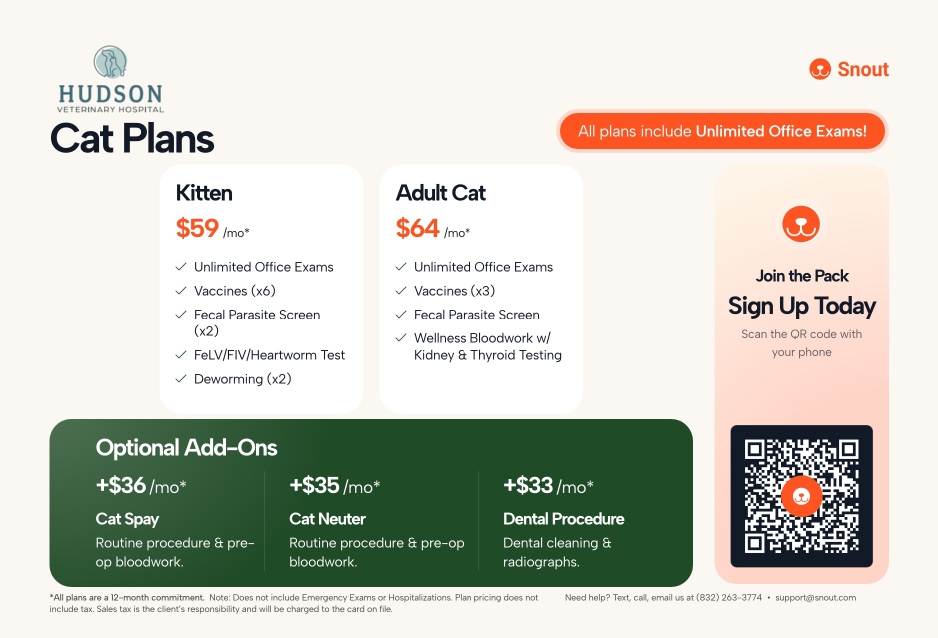 Hudson cat plans